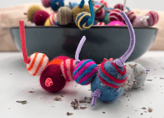 CatNip Slugs